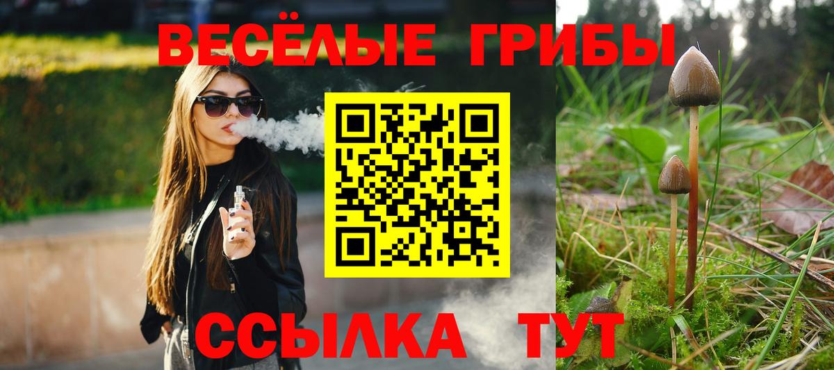 Псилоцибиновые грибы Cubensis  Вход с VPN  что такое   Екатеринбург  Галлюциногенные грибы Magic Shrooms 